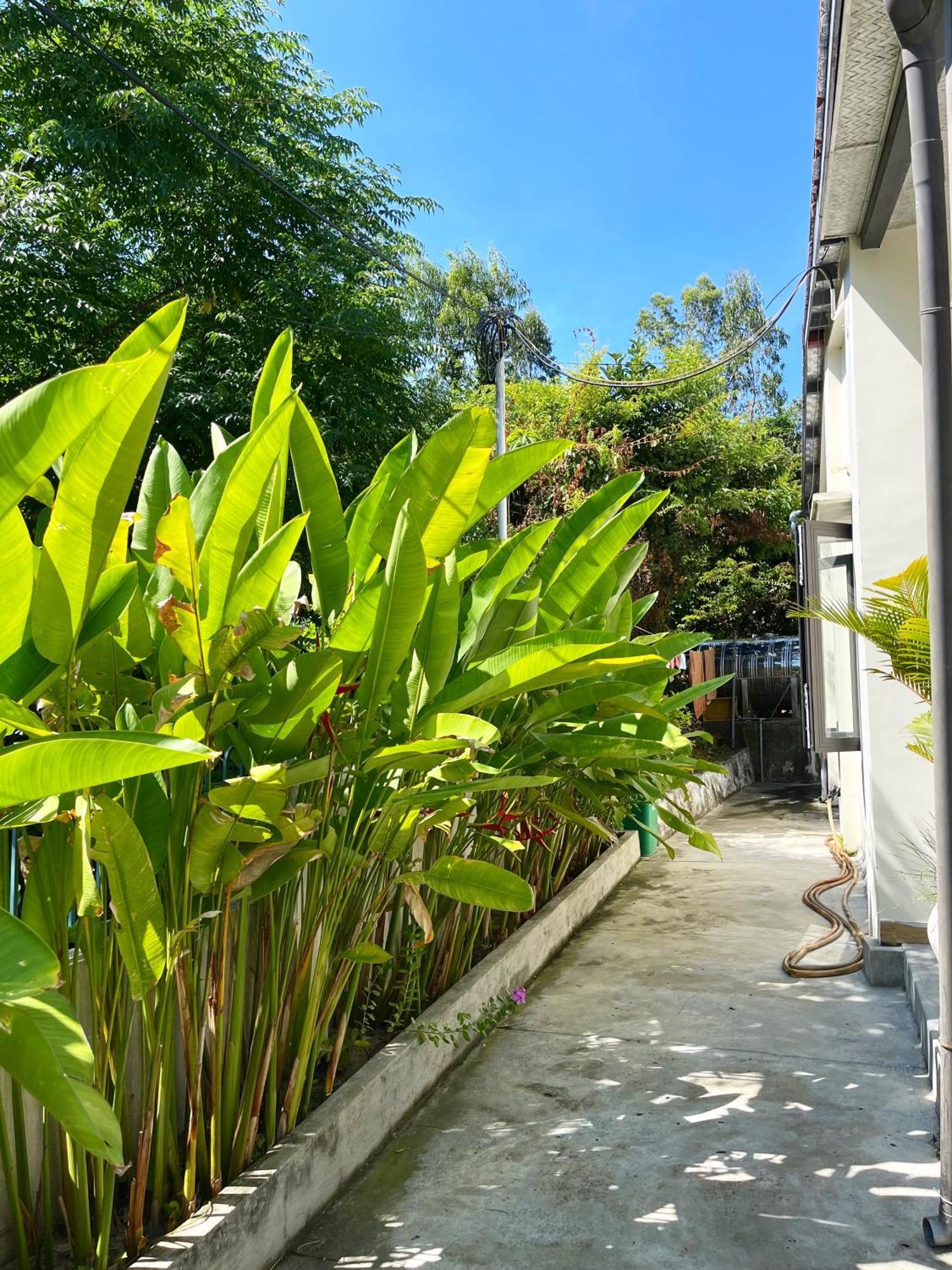 Crest House Beachside - Three-Bedroom Private House On Cham Island Hoi An Tan Hiep  Ngoại thất bức ảnh